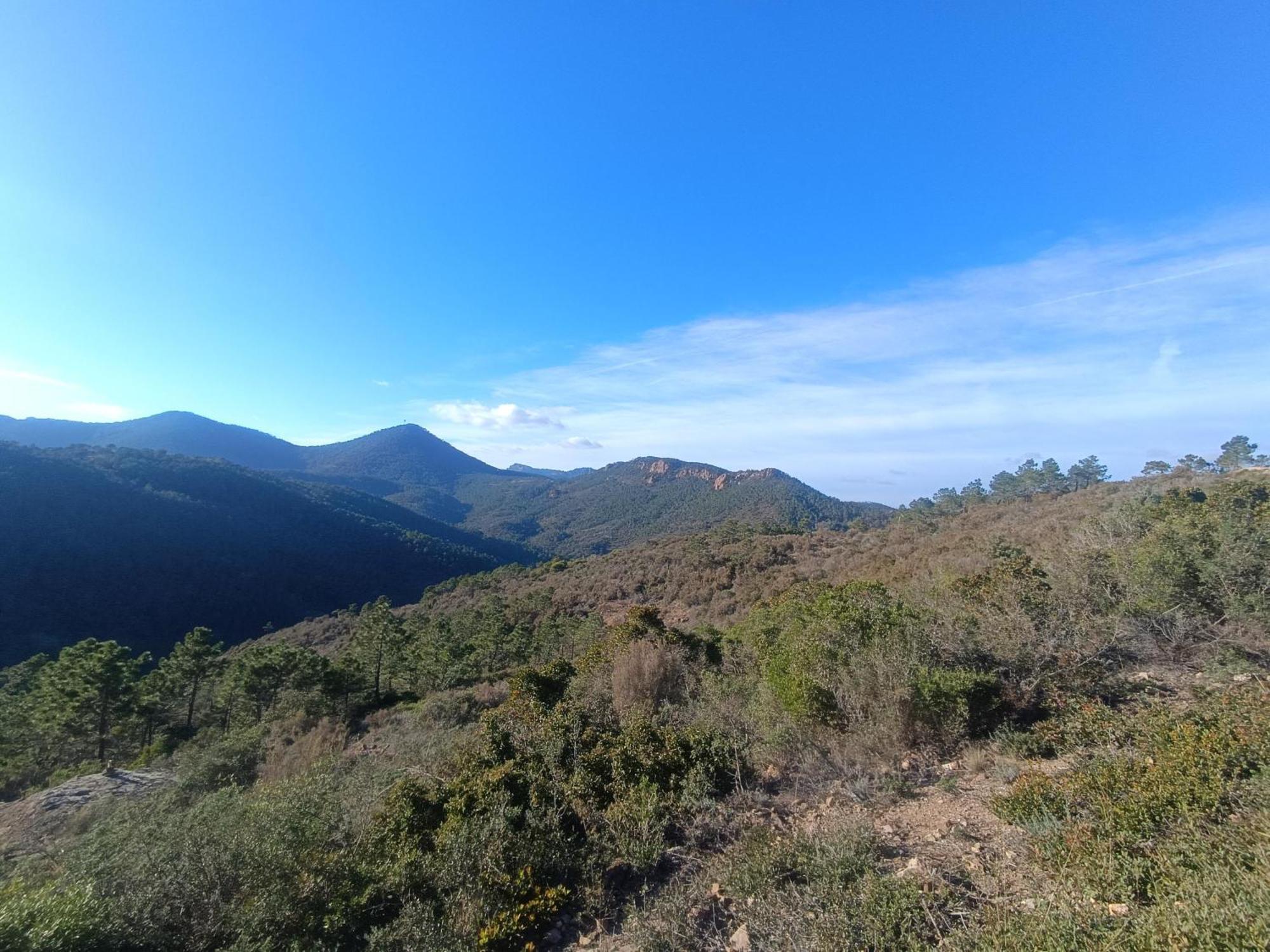 Magnifique Vue Mer Et Piscine - Les Cles De L Esterel Теуль-сюр-Мер Экстерьер фото