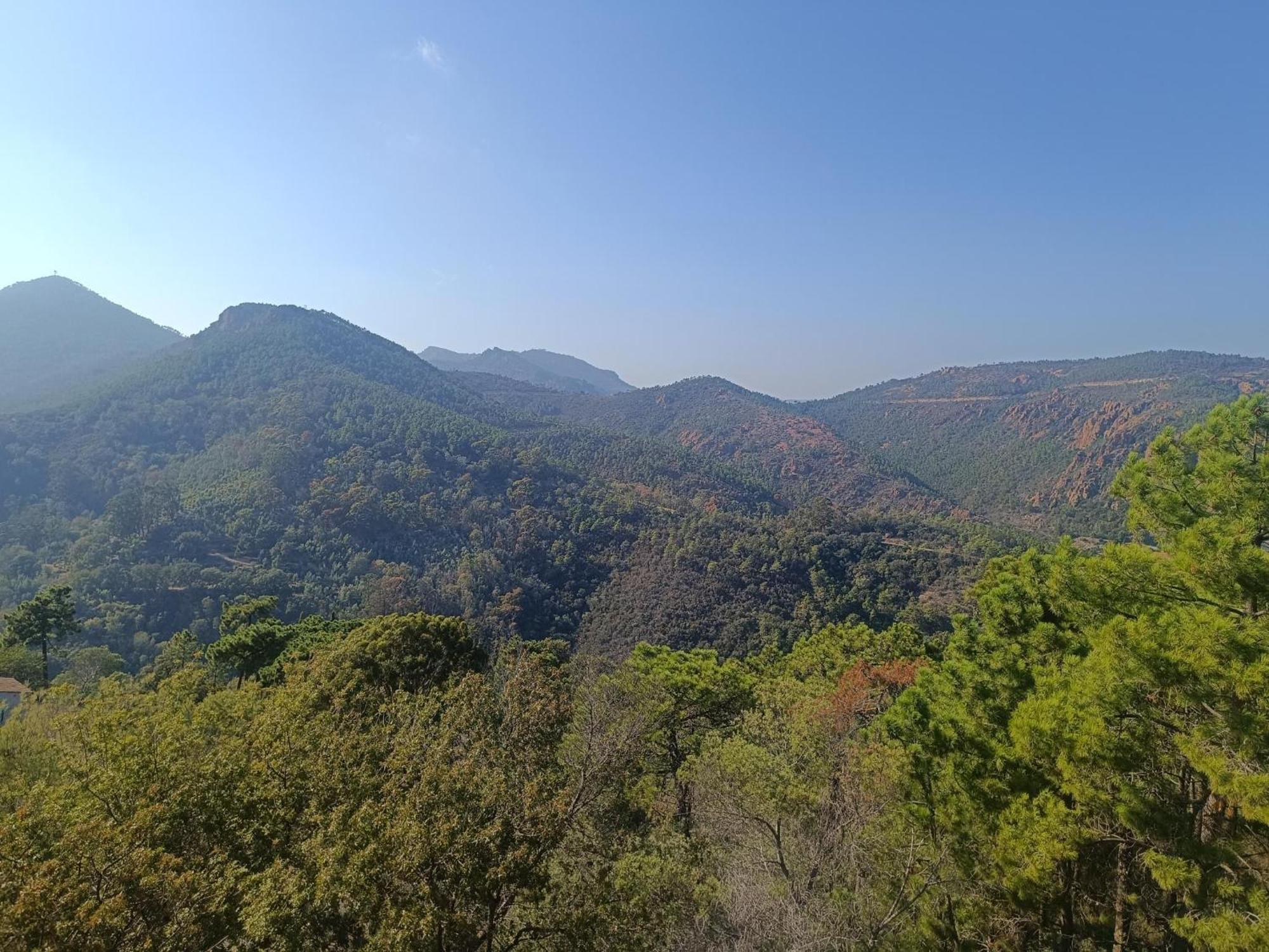 Magnifique Vue Mer Et Piscine - Les Cles De L Esterel Теуль-сюр-Мер Экстерьер фото